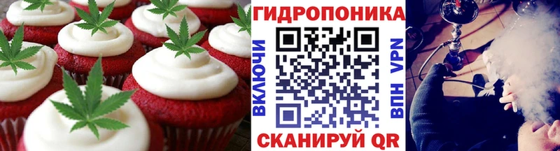 hydra как зайти  Череповец  Canna-Cookies марихуана  где продают наркотики 
