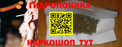 альфа пвп Новодвинск