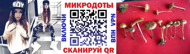 Псилоцибиновые грибы Psilocybine cubensis  kraken ТОР  Череповец  купить наркоту 